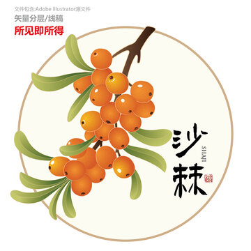 原创沙棘矢量插画设计元素