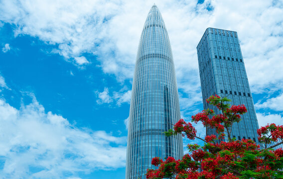 深圳人才公园凤凰花与地标建筑同框的盛景