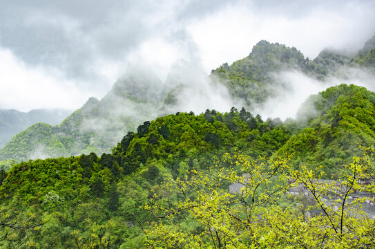 武当山旅游区云雾缭绕的翠绿山峦景致