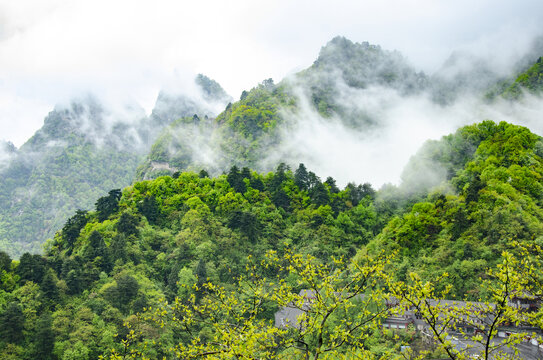 武当山旅游区云雾缭绕的翠绿山峦景致