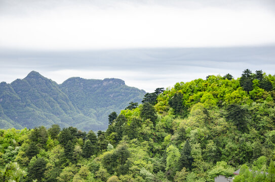 武当山青山绿树间的自然景致