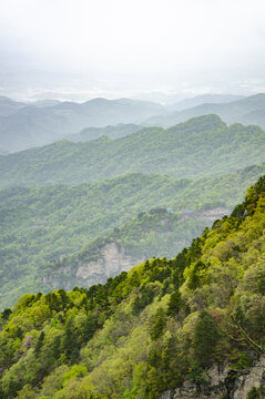 武当山青山叠翠的壮阔山林景观