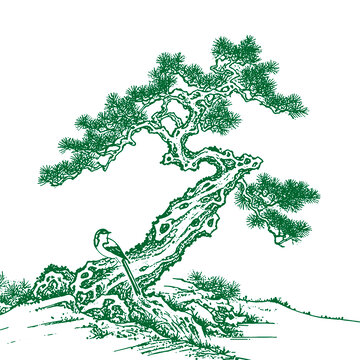 中式水墨风格苍松图树木手绘线稿矢量图