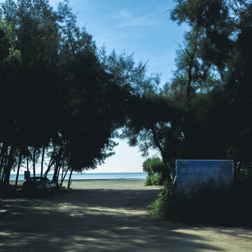 林间小道通向海边景致
