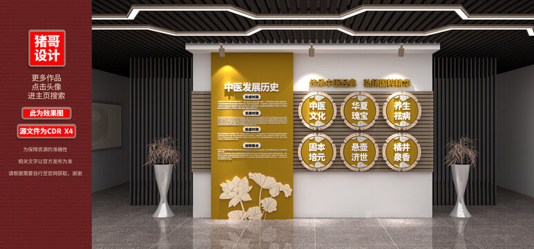 中医发展历史文化展示墙
