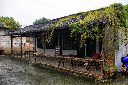 爬满藤蔓的古朴小屋