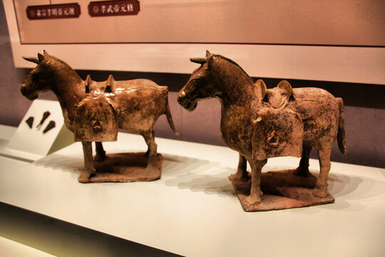古代陶制战马文物展示
