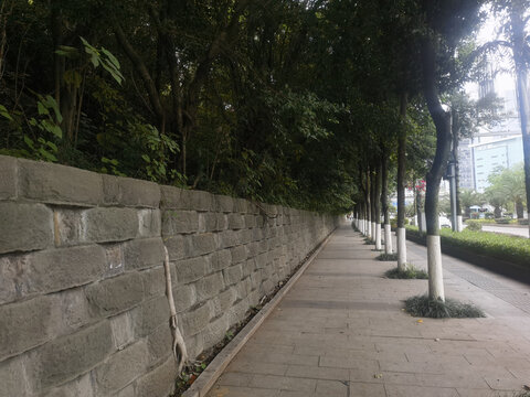 石墙边的林荫人行道