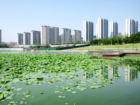 湖景房