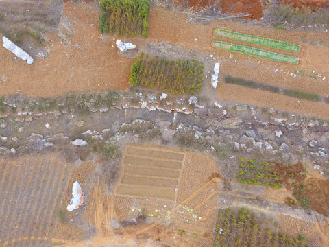 俯瞰多彩农田与植被景观