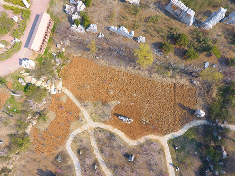 园林景观鸟瞰图