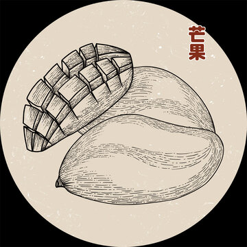 手绘芒果线条