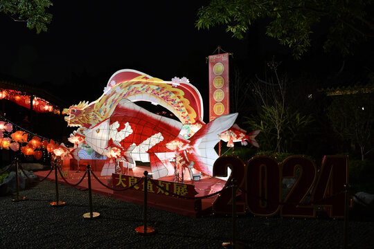 广东顺德大良鱼灯