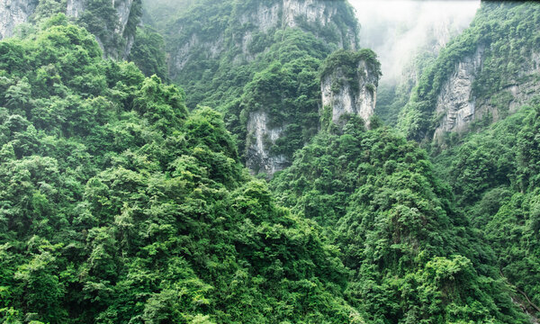 湖南张家界天门山云雾缭绕的山路奇观