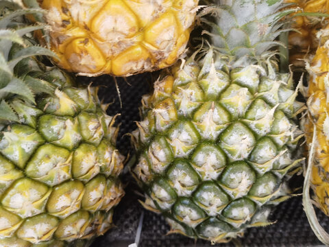菠萝凤梨