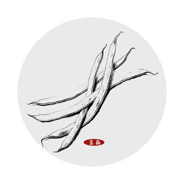 长豆角插画
