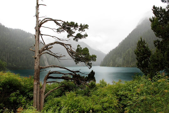 四川九寨沟山林湖畔的静谧风光