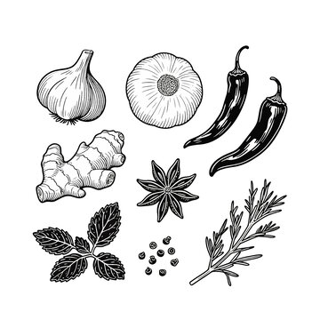 香料矢量图