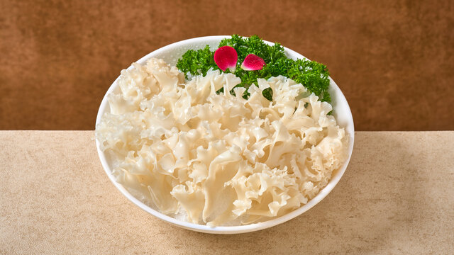 绣球菌