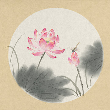 中式植物花卉荷花水墨蜻蜓国画插画