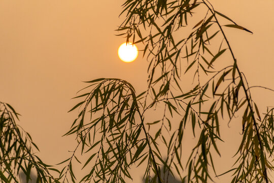 夕阳西下