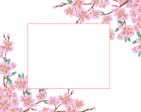 粉色花卉边框装饰矢量素材