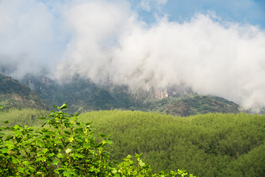 武功山上翠绿山峦间的神秘山峰
