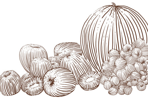手绘风多样水果组合插画