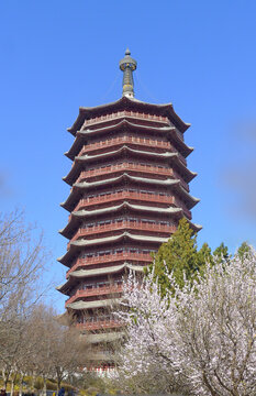 北京园博园春天景观