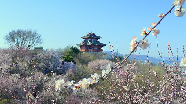 北京园博园春天景景观