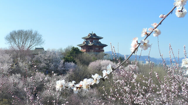 北京园博园春天景景观