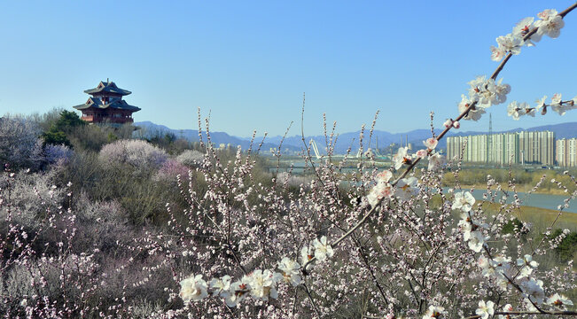 北京园博园春天景景观