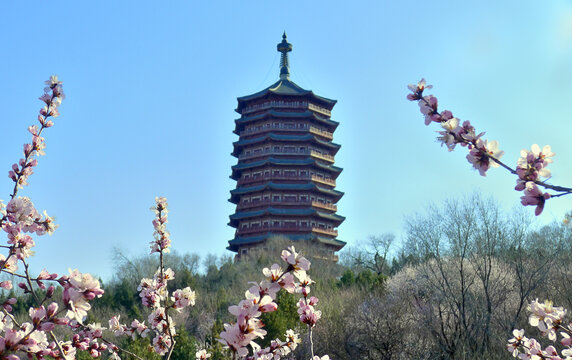 北京园博园春天景观