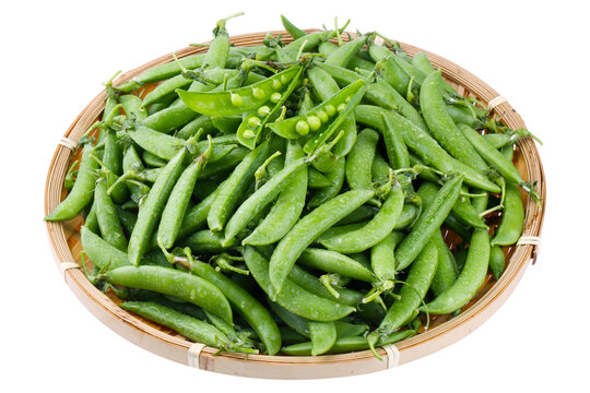 甜豆