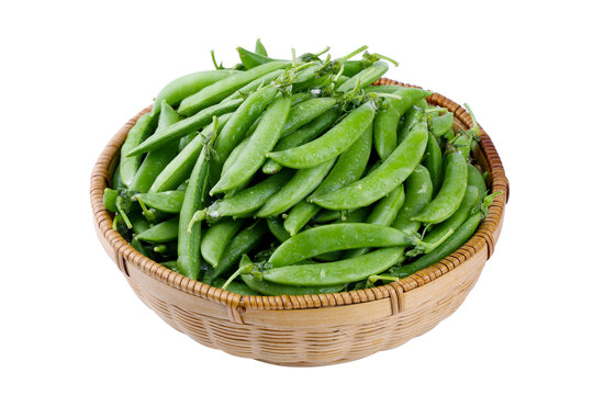 甜豆