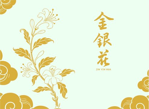 金银花