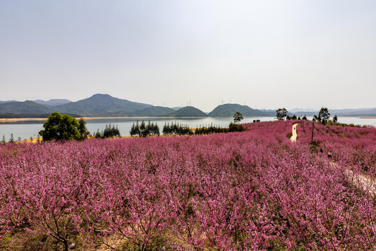 中国广西富川县龟石水库风景如画