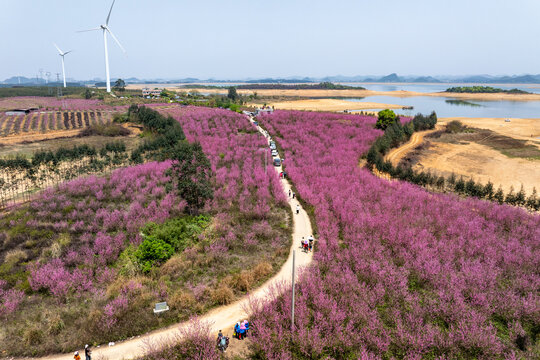 中国广西富川县龟石水库风景如画