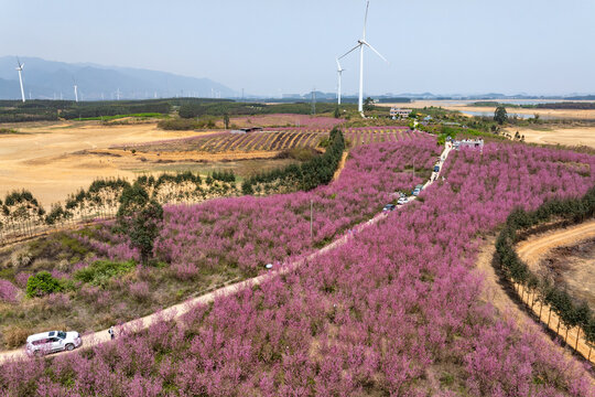 中国广西富川县龟石水库风景如画