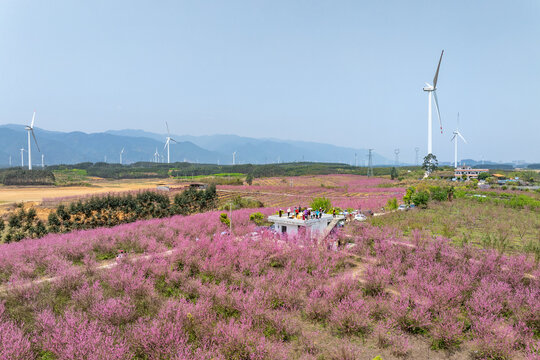 中国广西富川县龟石水库风景如画
