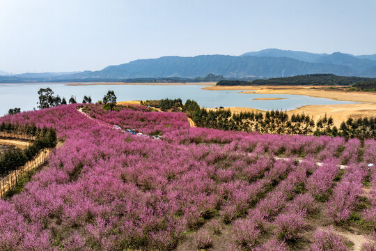 中国广西富川县龟石水库风景如画