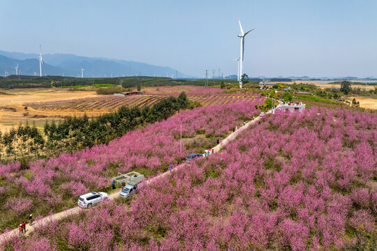 中国广西富川县龟石水库风景如画