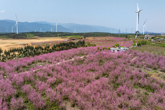 中国广西富川县龟石水库风景如画