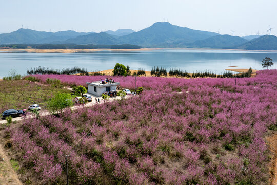 中国广西富川县龟石水库风景如画