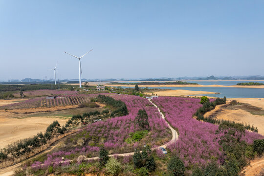 中国广西富川县龟石水库风景如画