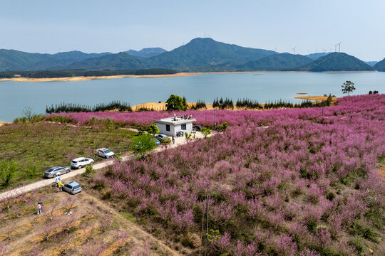 中国广西富川县龟石水库风景如画
