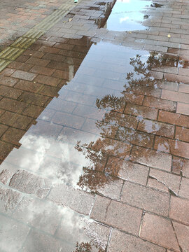 雨后地面上的水洼积水反射天空