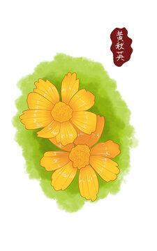 黄秋英