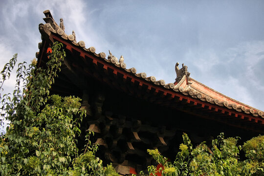 中式古建屋檐与绿植相映