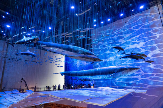 梦幻海洋生物展馆场景
